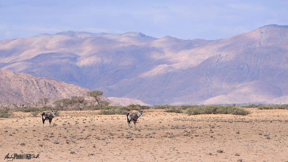 Sossusvlei Sand Dunes & Oryx 10,000 hours of deliberate practice mastering the art of photography