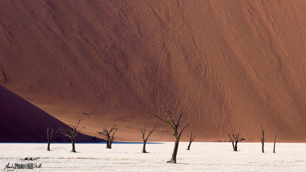 Deadvlei Sossusvlei Namibia 10,000 hours of deliberate practice mastering the art of photography